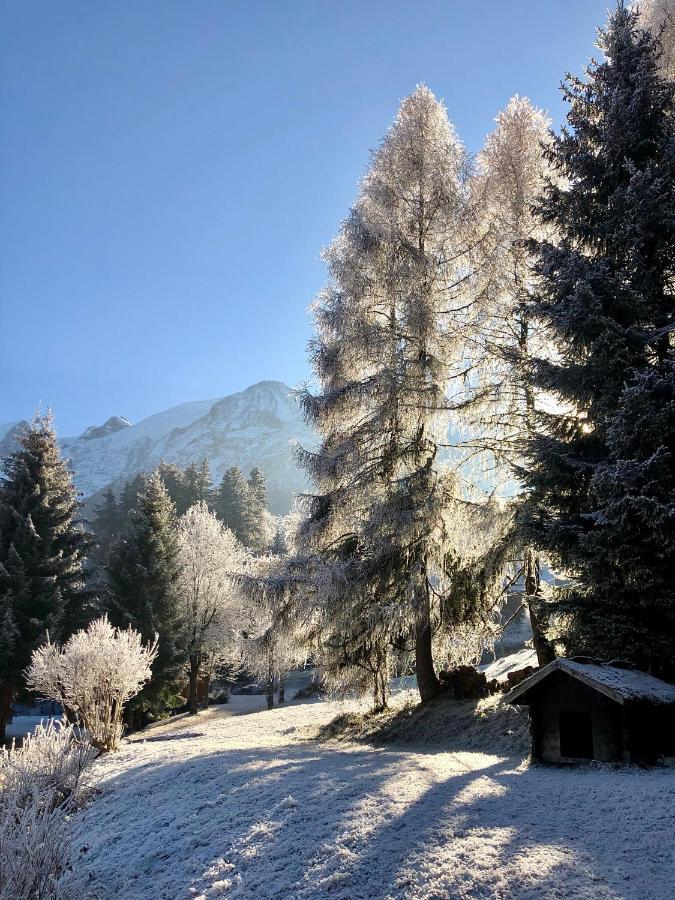Chambres D'Hotes - B&B - Chalet Mountain Vibes Лез-Уш Экстерьер фото